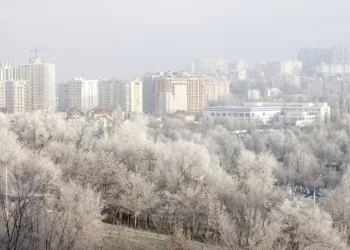 Снимка: БГНЕС/ EPA/DUMITRU DORU