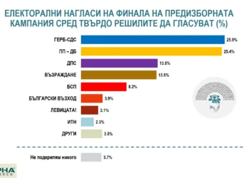 Снимка: Алфа Рисърч