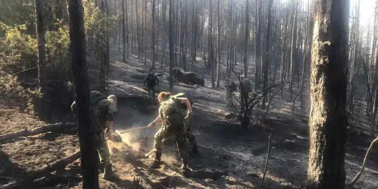 Военнослужещи от Сухопътните войски и Военновъздушните сили се включват в