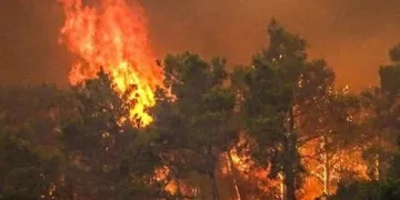 Двама души загинаха при най-големия горски пожар в историята на Тексас