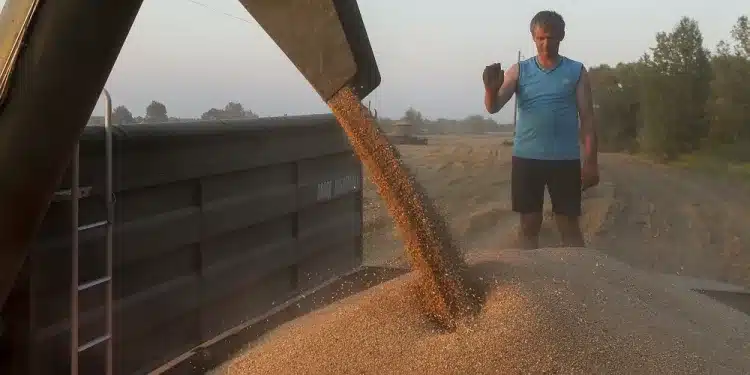 Словакия отменя забраната за внос на украинско зърно Братислава обаче