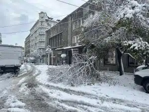 Снежен апокалипсис