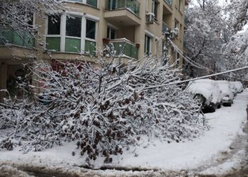 Снежен апокалипсис