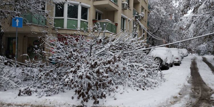 Снежен апокалипсис