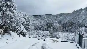 Снежен апокалипсис