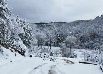 Под 500 хиляди абоната