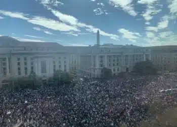 Протест Вашингтон, Туитър