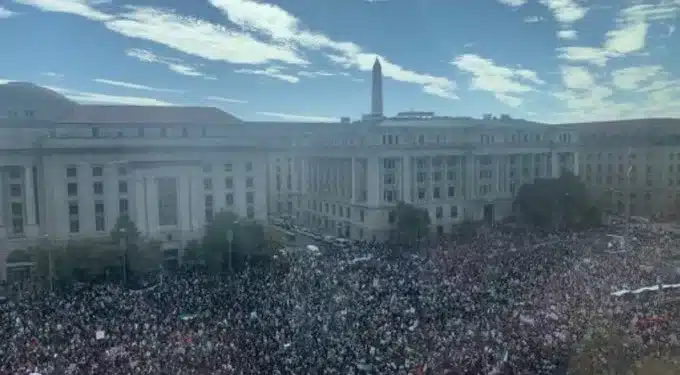 Протест Вашингтон, Туитър