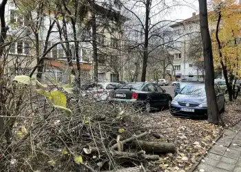 Виктор Димчев: Не че са лоши хора, просто са много некадърни...