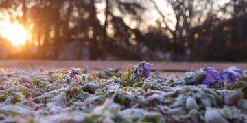 Пролетното време, Зимата ще