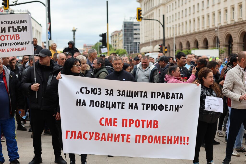 протест