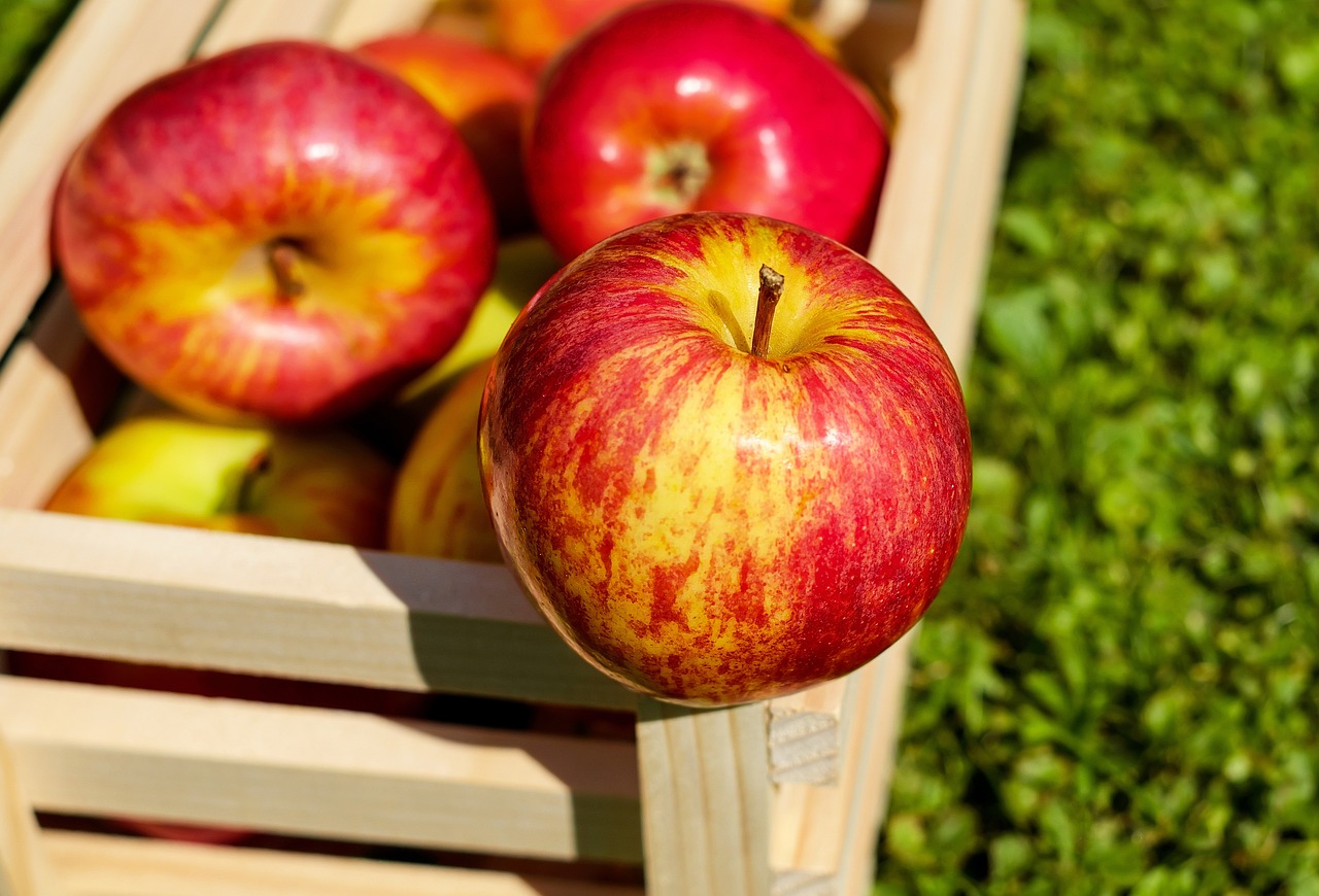 Ябълките Подценяван съюзник в управлението на диабета Ябълките често се