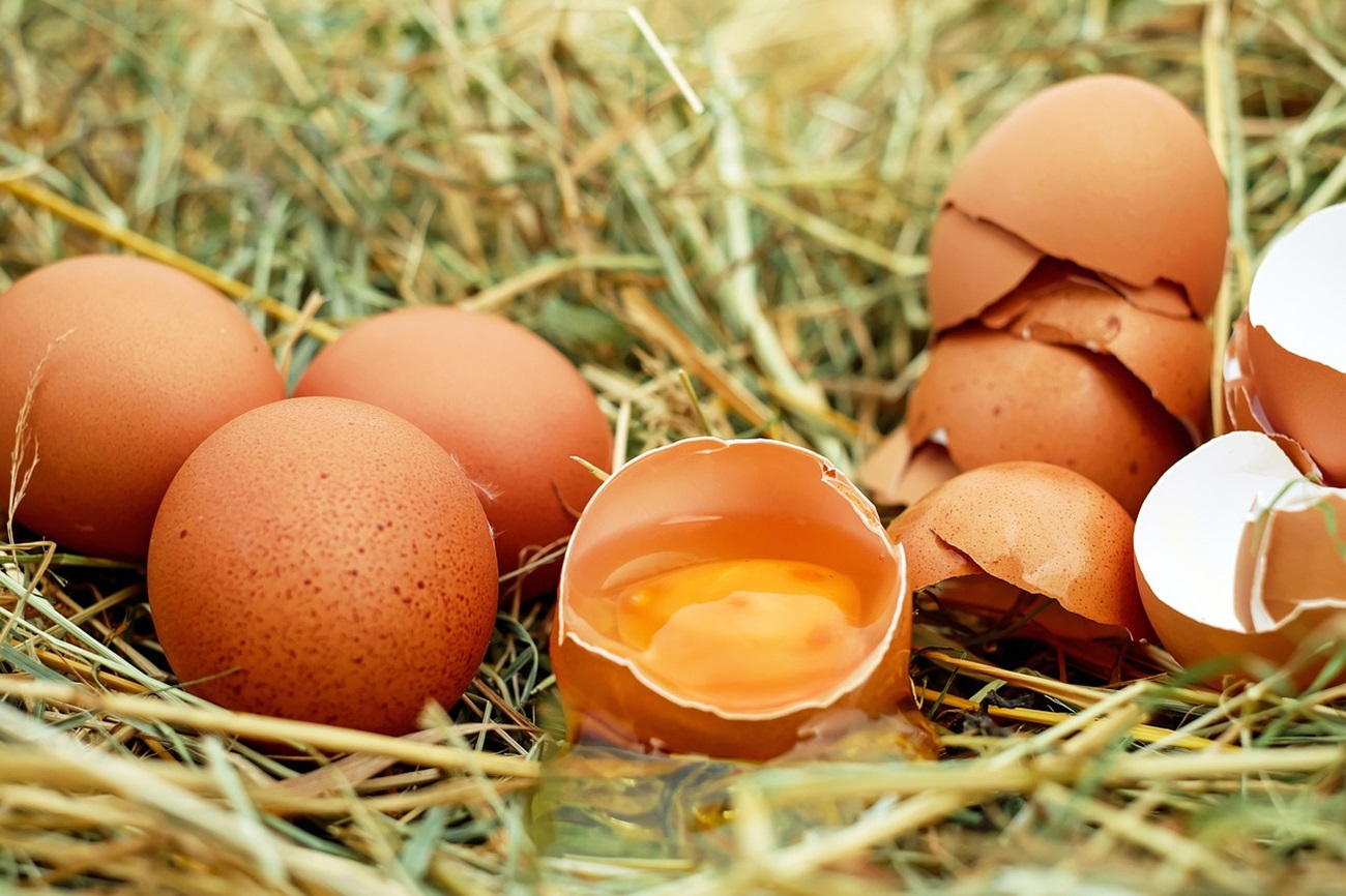 Как да запазим яйцата свежи през летните месеци Всички знаем