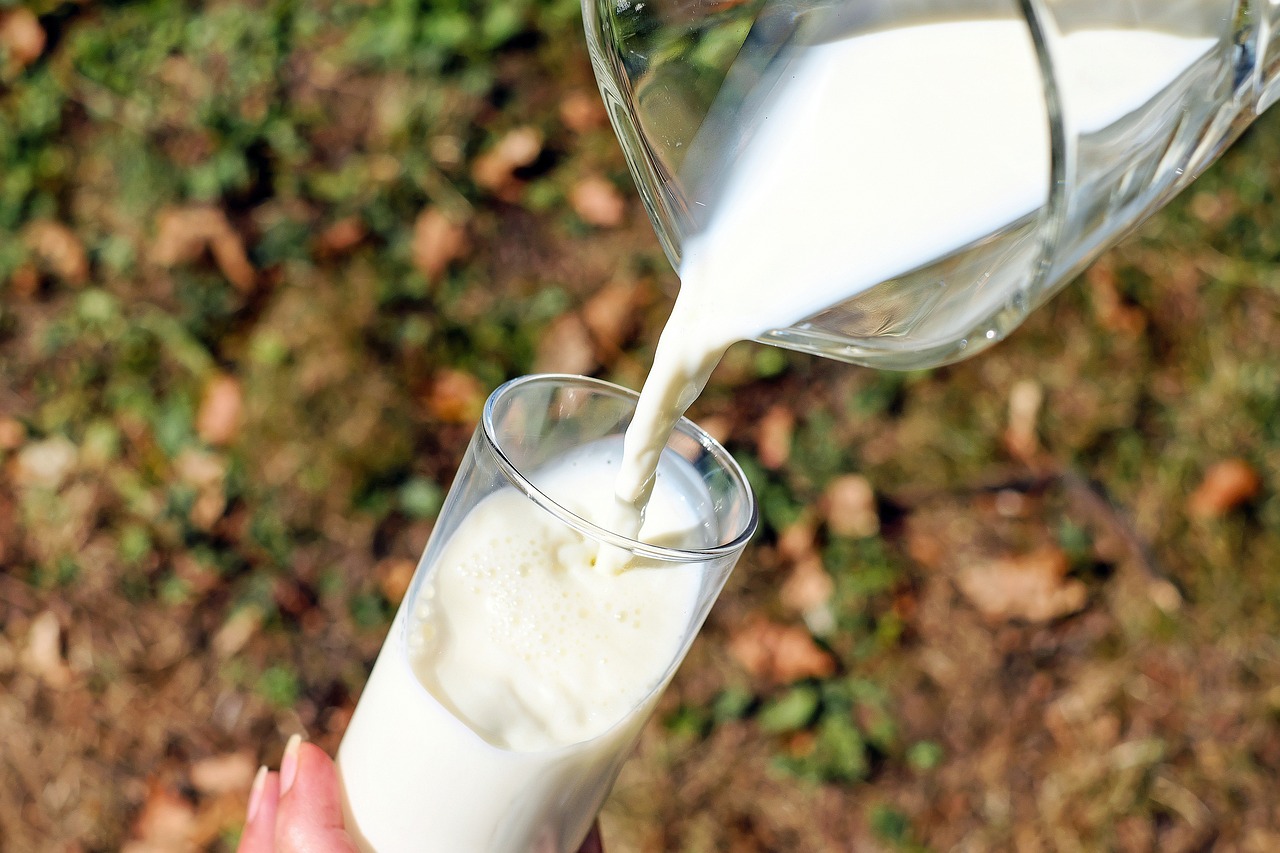 Млякото в жегата – приятел или враг на вашето здраве