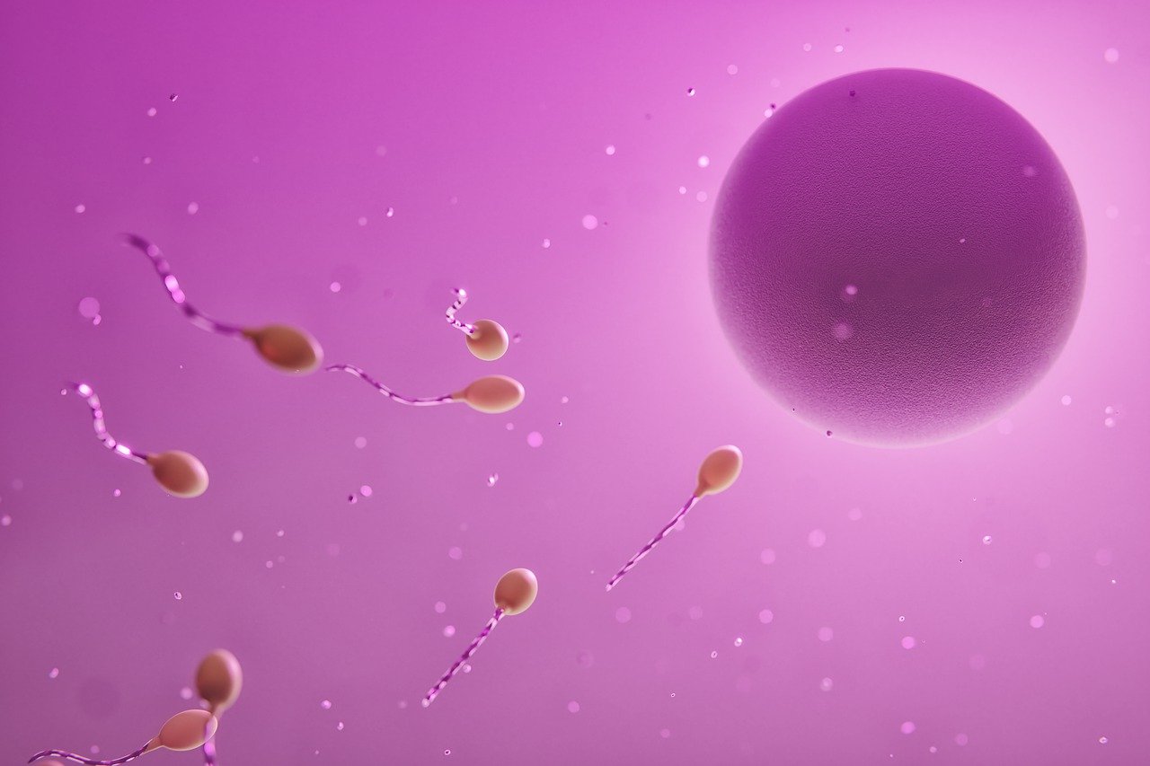 Откриха голяма отрова и в мъжката сперма! Учени от Китай