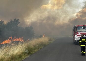 Шефът на Националната пожарна в шок: "За първи път видях подобно нещо!"