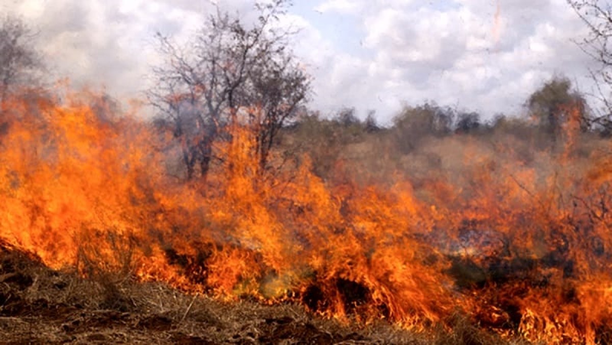 ИЗВЪНРЕДНО Голям пожар бушува край Бургас Голям пожар е избухнал