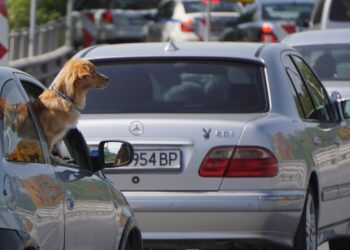 Затварят центъра на София за автомобили! (КАРТА)