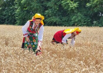 Рогът на изобилието идва! Раздават умопомрачителни пари за земеделие.