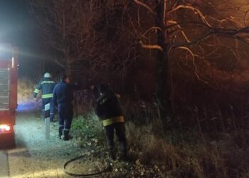 Жесток пожар край Пловдив, 3-метрови пламъци бушуват на пътя към Хасково (СНИМКИ)