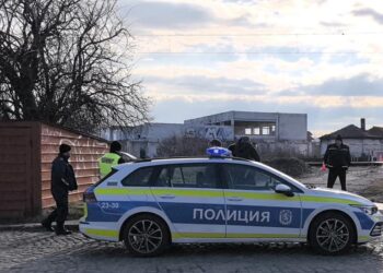 ИЗВЪНРЕДНО!: Влак помля жена на жп прелез в Казанлък, версията е самоубийство (СНИМКИ)