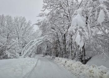 Депутати от ГЕРБ