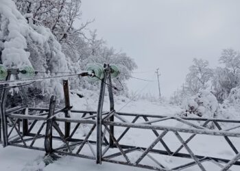 На кой му се живее в разрушена държава,