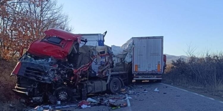 ИЗВЪНРЕДНО!: Невиждано меле на пътя край Монтана - два тира се блъснаха челно, има тежко ранени (СНИМКА)