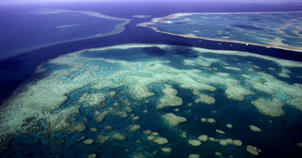 Край бреговете на Австралия в океанските води на Северен Куинсланд