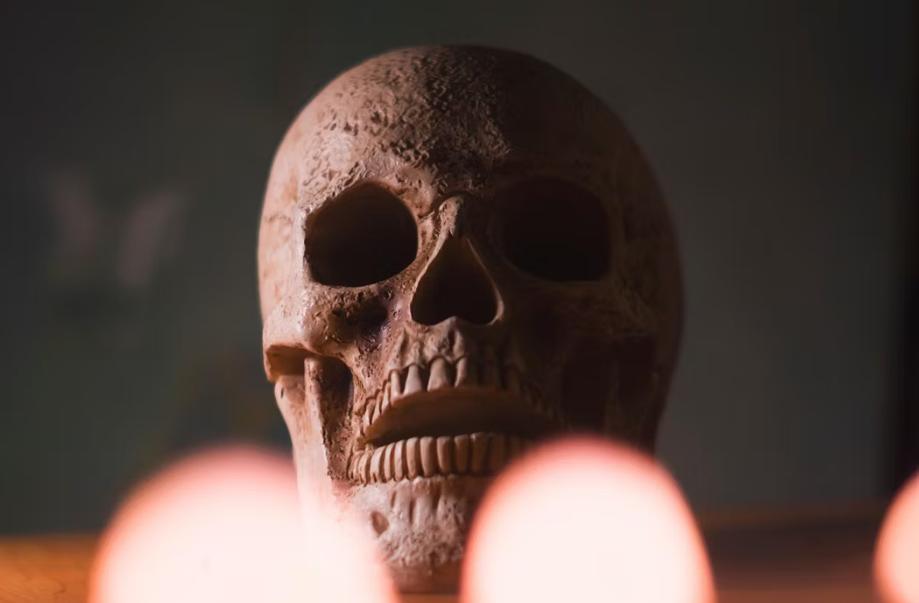 Древен череп поставя под въпрос произхода на Homo sapiens