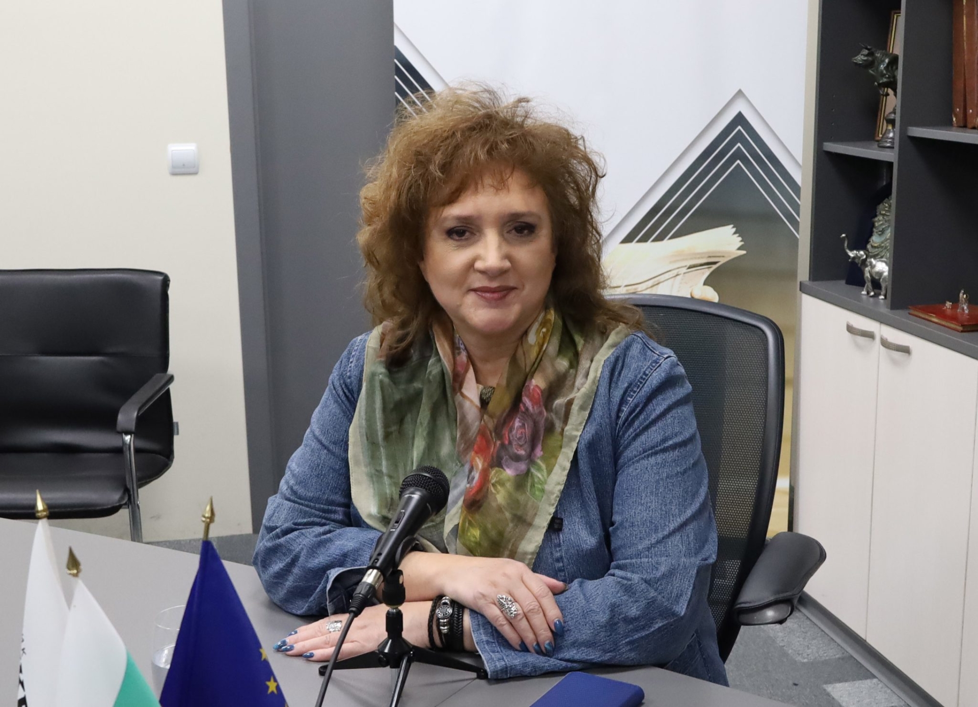 „Всички инструменти на властта са мобилизирани“: Танчева за президентската надпревара