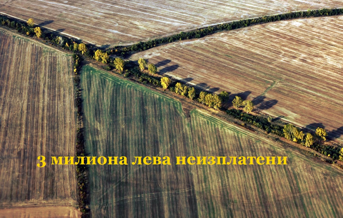 Защо собствениците не получават парите си? Одит на Сметната палата разкри над 3 млн. лева неизплатени ренти